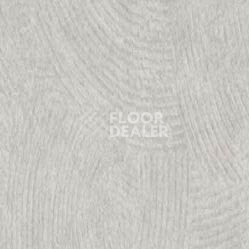 Линолеум Taralay Initial Comfort 0037 Souris фото 1 | FLOORDEALER